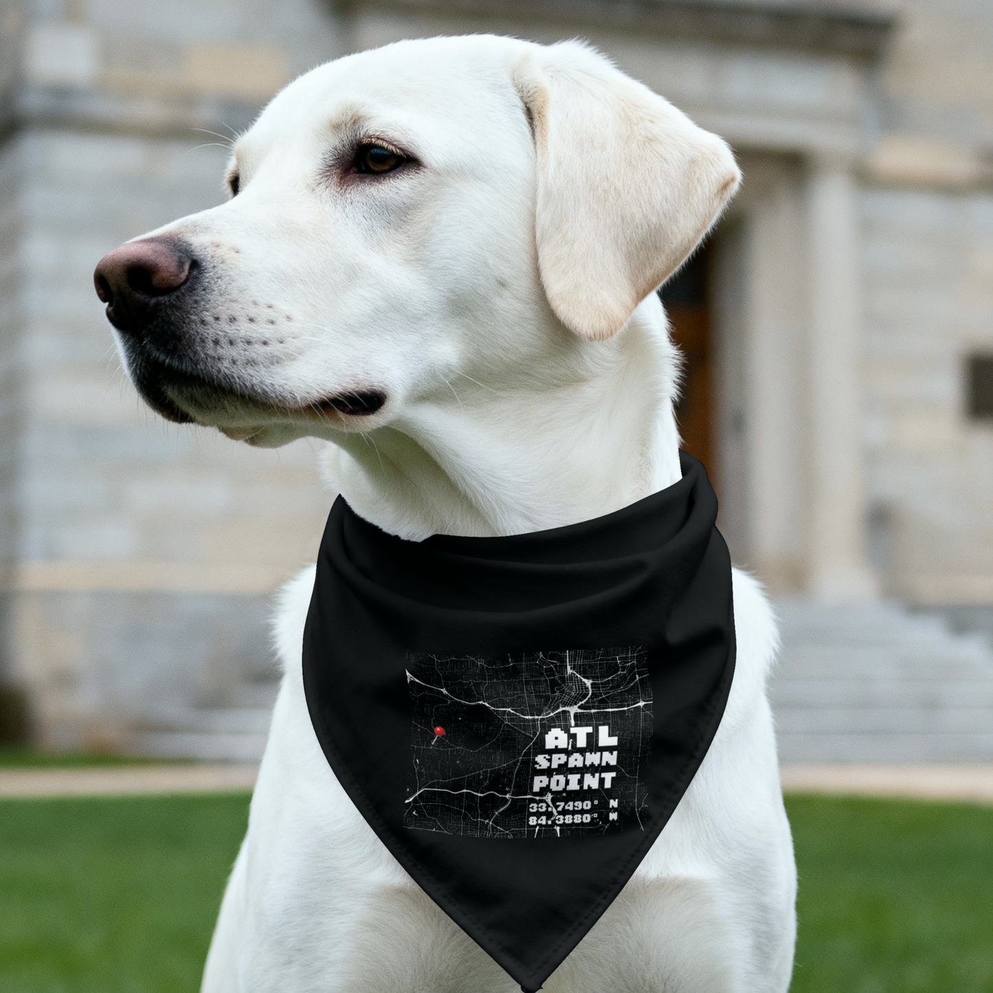 Spawn Point Atlanta Pet Bandana Collar – Gamer Cat-Dog Bandana Streetwear